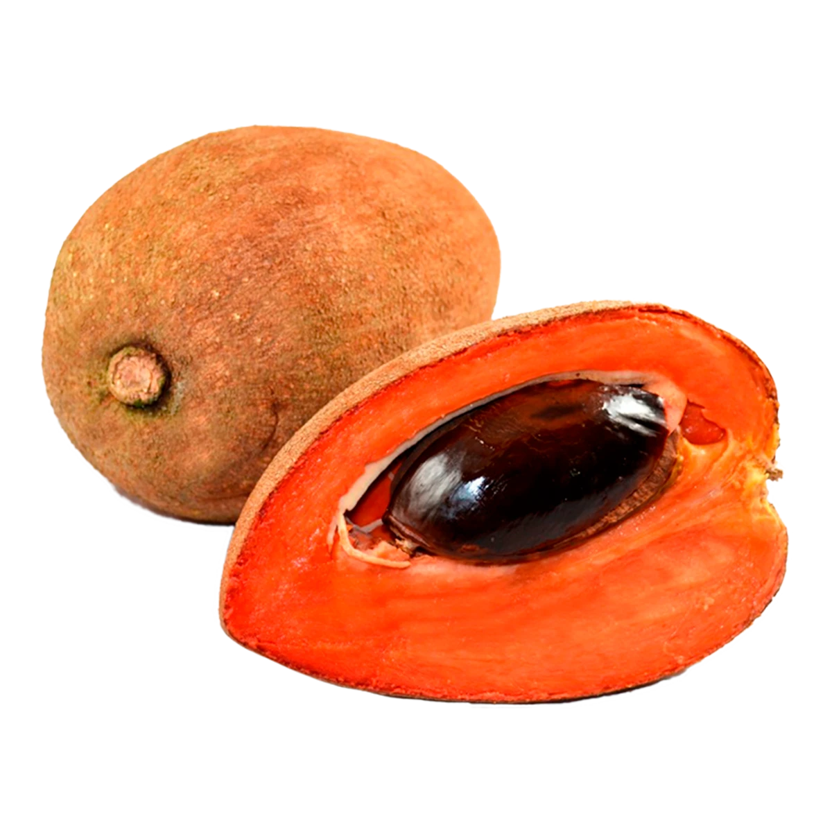 E.MAMEY