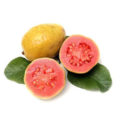 C.GUAYABA TROPICAL G-15/120Ml
